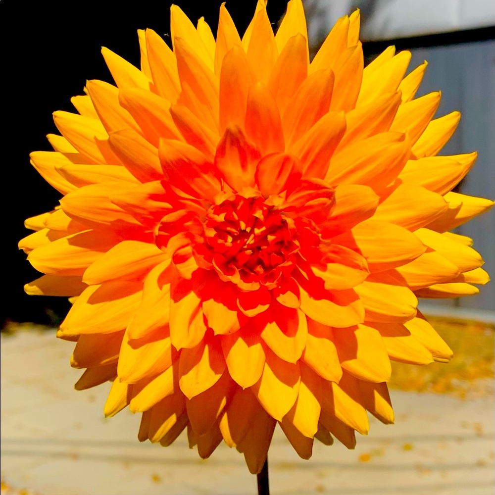 Closet closing July 2nd.